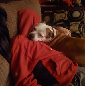 Meet your Posher, Sean